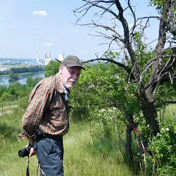 Nordic Walking z Liběchova do Liběchova