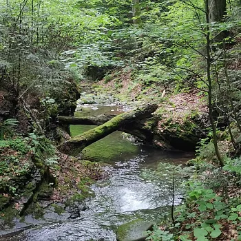Beskydy - NW výšlap k hospodě u Veličků a vodopádům Satiny