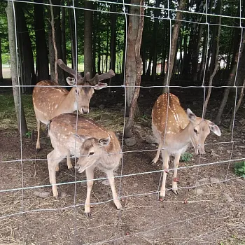 Beskydy - NW výšlap k hospodě u Veličků a vodopádům Satiny