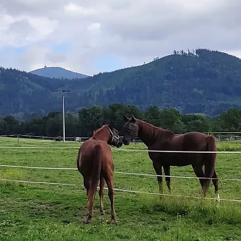Beskydy - NW výšlap k hospodě u Veličků a vodopádům Satiny