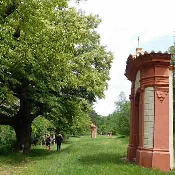 Nordic Walking z Liběchova do Liběchova