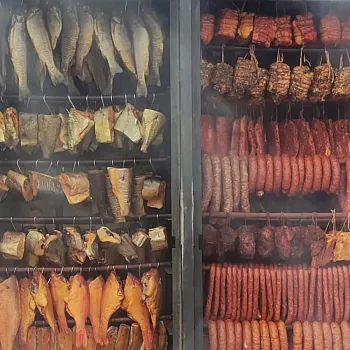 Narozeninový Balt. Den třetí. Jedni lodí na poloostrov Hel, druzí na křižácký hrad Malbork.