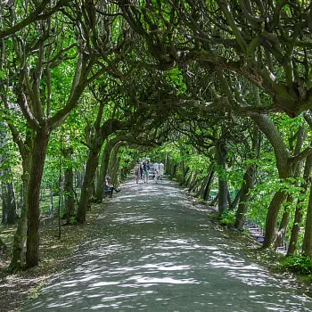 Narozeninový Balt. Den čtvrtý, zmáčený. Oliwa, rozhledna Pacholek, ledovcová moréna. Sopot.