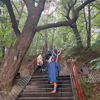 Narozeninový Balt. Den čtvrtý, zmáčený. Oliwa, rozhledna Pacholek, ledovcová moréna. Sopot.