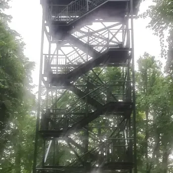 Narozeninový Balt. Den čtvrtý, zmáčený. Oliwa, rozhledna Pacholek, ledovcová moréna. Sopot.