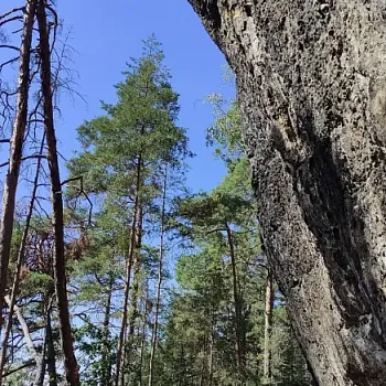 Kokořínsko - NW výšlap na kokořínský Mount Everest