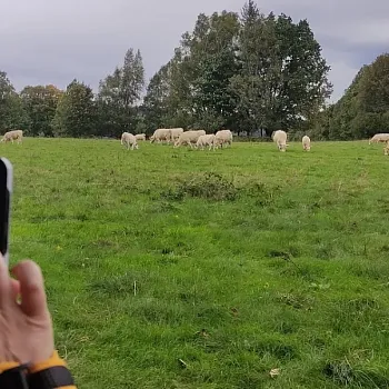 Zlaté Hory - Svatý Václav v Bílé vile 2024