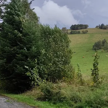 Zlaté Hory - Svatý Václav v Bílé vile 2024