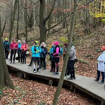 Ostrava, Bělský les - trénink a výšlap