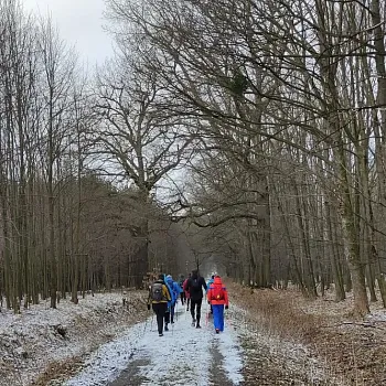 Ostrava!!! podivuhodná. Nordic Walking v Černém lese