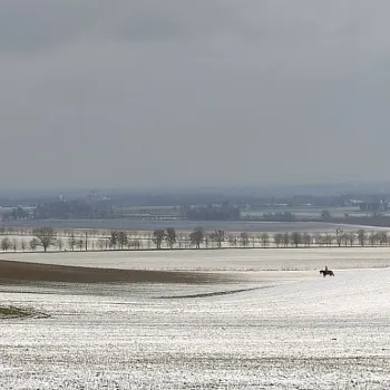 Ostrava!!! podivuhodná. Nordic Walking v Černém lese