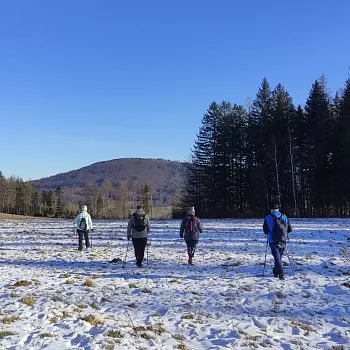 Zlaté Hory - Silvestr Walking 2024
