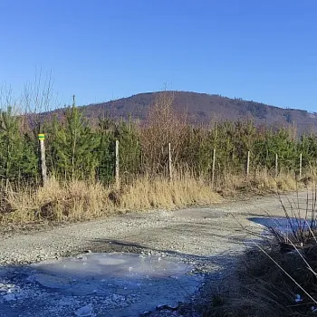 Zlaté Hory - Silvestr Walking 2024