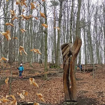 Ostrava podivuhodná!!! - Zbyslavické rybníky a údolí Seziny