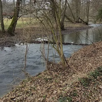 Ostrava podivuhodná!!! - Zbyslavické rybníky a údolí Seziny