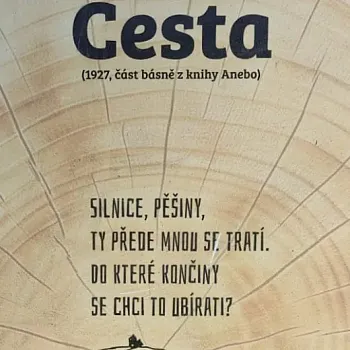 Mělník - Nordic Walking ve vinici Klamovka