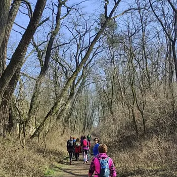 Mělník - Nordic Walking ve vinici Klamovka