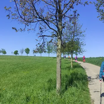 Ostrava!!! podivuhodná - 18. poledník, trilobiti, kouzelné  místo a zakletý zámek