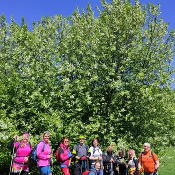 Ostrava!!! podivuhodná - 18. poledník, trilobiti, kouzelné  místo a zakletý zámek