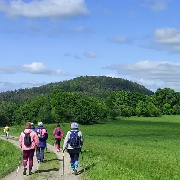 Kokořínsko - Nordic Walking přes Vrátenskou horu, Housku, Beškovský vrch do Panské Vsi u Dubé