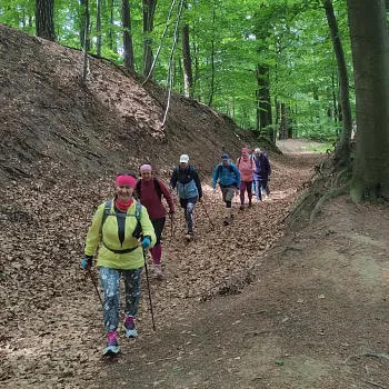 Kokořínsko - Nordic Walking přes Vrátenskou horu, Housku, Beškovský vrch do Panské Vsi u Dubé