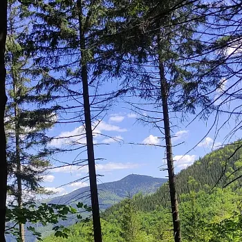 Beskydy. Ostravice - horský Nordic Walking výšlap k vodopádům Bučacího potoka