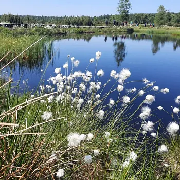 Expedice Krušné Hory 2025 - den první Nejdek, Tisová - Plešivec