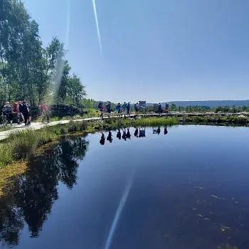 Expedice Krušné Hory 2025 - den první Nejdek, Tisová - Plešivec