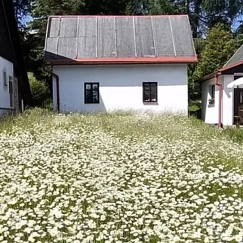 Expedice Krušné hory 2025, den třetí. Boží Dar - Měděnec