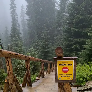 Zlaté Hory - Svatý Václav v Bílé vile 2025