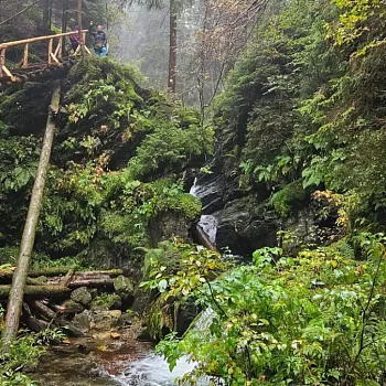 Zlaté Hory - Svatý Václav v Bílé vile 2025