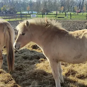 Vraňansko - hořínský laterální kanál, NW výšlap tak akorát