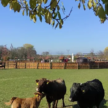 Vraňansko - hořínský laterální kanál, NW výšlap tak akorát