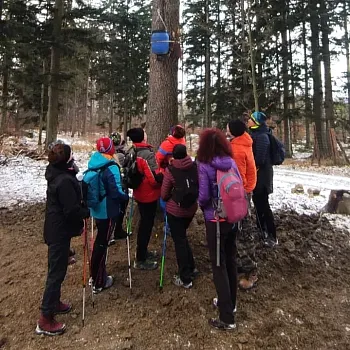 Nordic Walking Silvestr 2025 na Osikovém vrchu nad Zlatými Horami