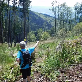 Lázně Jeseník, Studniční hora, Medvědí kámen - nádherná Nordic Walking lokalita