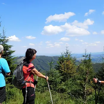 Lázně Jeseník, Studniční hora, Medvědí kámen - nádherná Nordic Walking lokalita