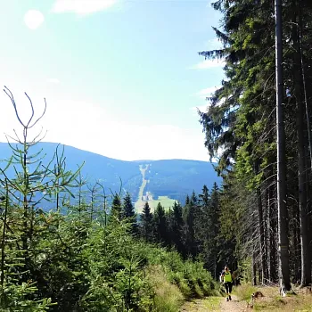 Rychlebské hory - Nordic Walking trasování s těmi správnými parťáky