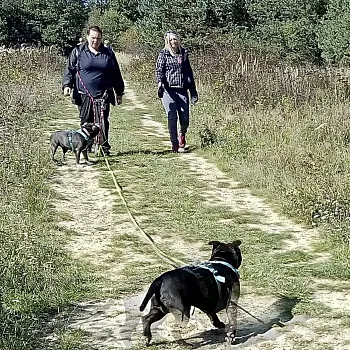 Nebe modrý jak mý džíny - NWT Liběchov -okruh Václava Levého
