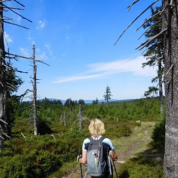 Rychlebské hory - Nordic Walking trasování s těmi správnými parťáky