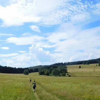 Rychlebské hory - Nordic Walking trasování s těmi správnými parťáky