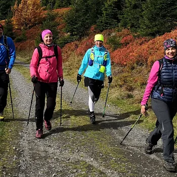 Nordic Walking z Červenohorského sedla na Švýcárnu