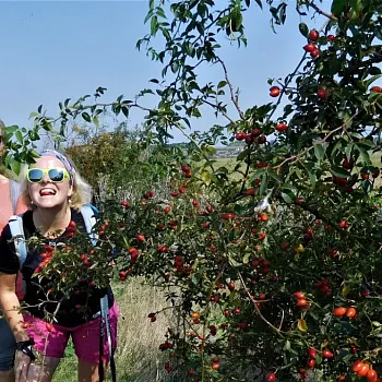 10 dní putování českou krajinou z Blaníku na Říp