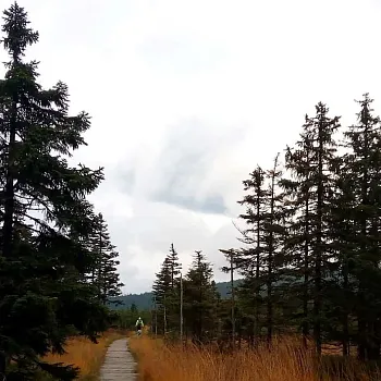 Nordic Walking z Červenohorského sedla na Švýcárnu