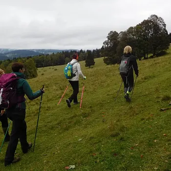 Nordic Walking - stezka Pasák nad Kolštejnem