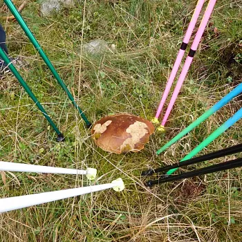 Nordic Walking - stezka Pasák nad Kolštejnem