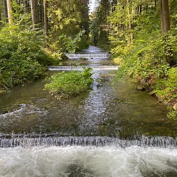 Tři dny Nordic Walking na severu - Zlatohorsko a Jeseníky