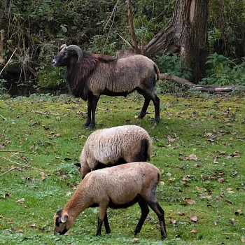 České středohoří - světlo na konci tunelu