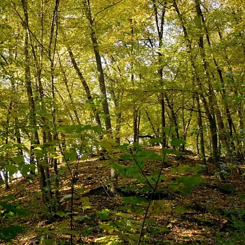 České středohoří - světlo na konci tunelu