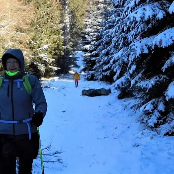 Jeseníky - Nordic Walking na Žárový vrch