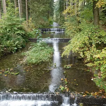 Tři dny Nordic Walking na severu - Javorník, Rejvíz, Zlaté Hory